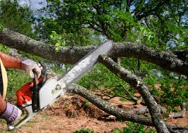 Best Lawn Irrigation Installation and Maintenance  in Sugar City, ID