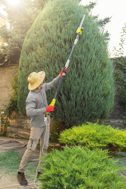Best Lawn Grading and Leveling  in Sugar City, ID